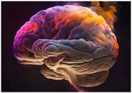 Improves IQ score (Image via Vecteezy)